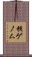核ゲノム Scroll