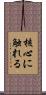 核心に触れる Scroll