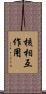 核相互作用 Scroll