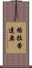 Gratidao Scroll