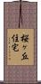 桜ヶ丘住宅 Scroll