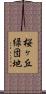 桜ヶ丘緑団地 Scroll
