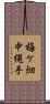 梅ケ畑中縄手 Scroll