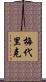 Mederic Scroll