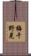 梅干野晃 Scroll