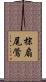 棕扇尾鶯 Scroll