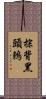 棕背黑頭鶇 Scroll