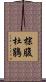 棕腹杜鵑 Scroll