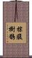 棕腹樹鵲 Scroll