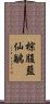 棕腹藍仙鶲 Scroll