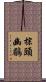 棕頭幽鶥 Scroll