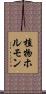 植物ホルモン Scroll