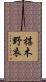 椹木野衣 Scroll