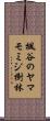 楓谷のヤマモミジ樹林 Scroll