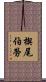 楔尾伯勞 Scroll