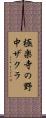 極楽寺の野中ザクラ Scroll