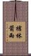 槍林箭雨 Scroll