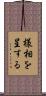 様相を呈する Scroll