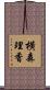 横森理香 Scroll