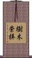 樹木崇拝 Scroll