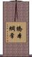 橋本綱常 Scroll
