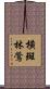橫斑林鶯 Scroll