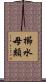 櫛水母類 Scroll