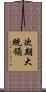 次期大統領 Scroll