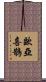 歐亞喜鵲 Scroll