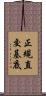 正規直交基底 Scroll