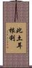 此土耳根利 Scroll