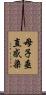 母子垂直感染 Scroll