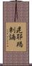 毘耶羯剌諵 Scroll