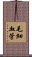 毛細血管 Scroll