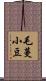 毛蔓小豆 Scroll