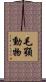 毛顎動物 Scroll