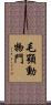 毛顎動物門 Scroll