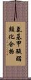 氨基甲酸酯類化合物 Scroll