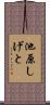 池原しげと Scroll