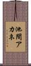 池間アカネ Scroll