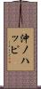沖ノハッピ Scroll