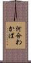 河合わかば Scroll