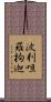 波利呾羅拘迦 Scroll
