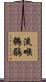 淡喉鷯鶥 Scroll