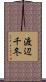 渡辺千冬 Scroll