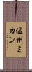 温州ミカン Scroll