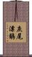 灰尾漂鷸 Scroll