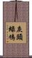 灰頭綠鳩 Scroll