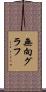 無向グラフ Scroll