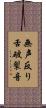 無声反り舌破裂音 Scroll